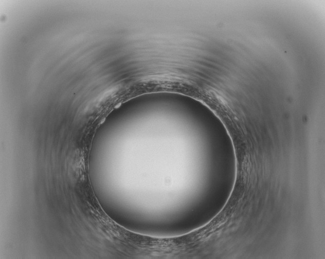 X0000088611062200706011222