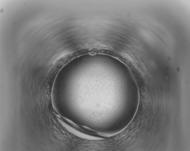 X0000088611063200706011222