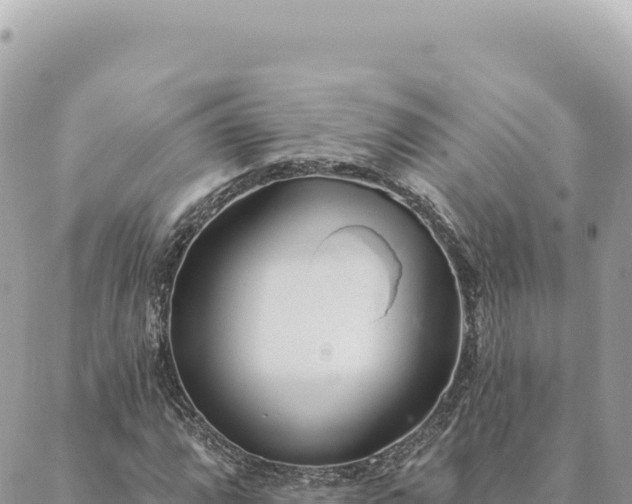 X0000088611064200706011222