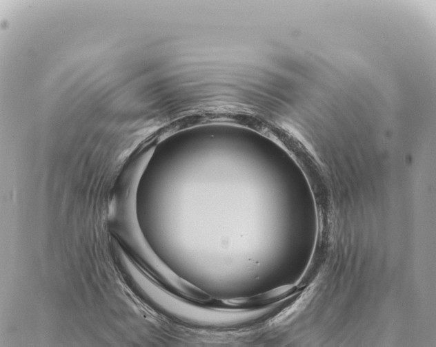 X0000088611065200706011222