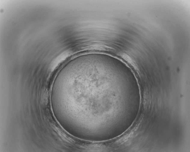 X0000088611067200706011222