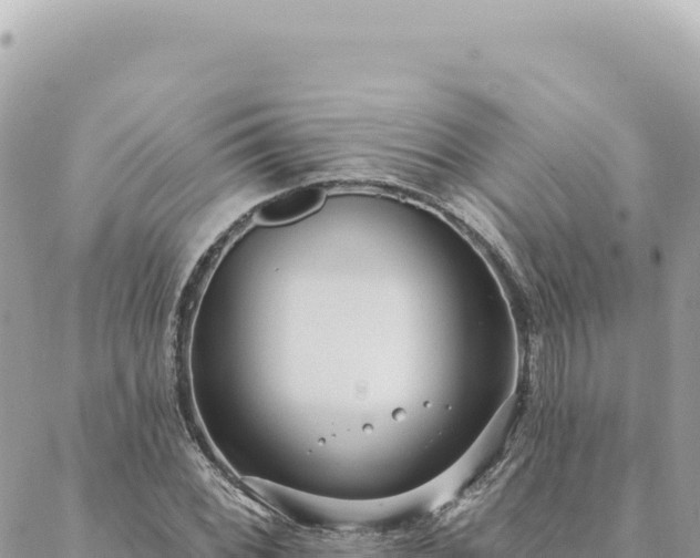 X0000088611068200706011222