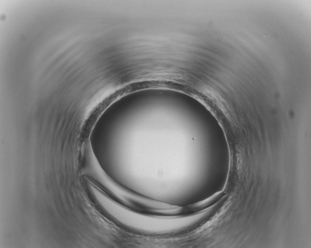 X0000088611069200706011222