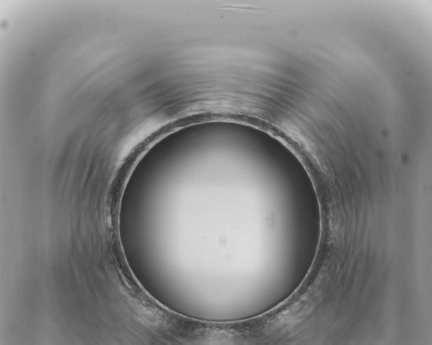 X0000088611070200706011222