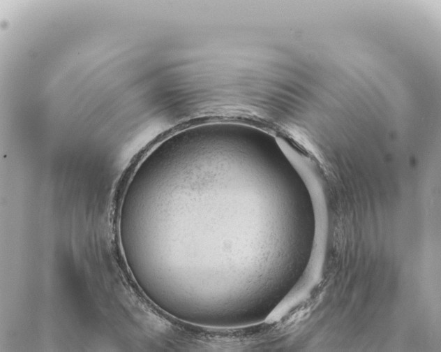 X0000088611071200706011222