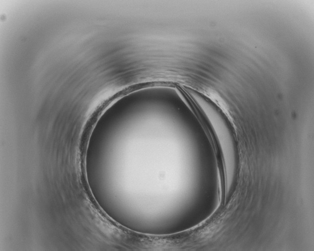 X0000088611072200706011222