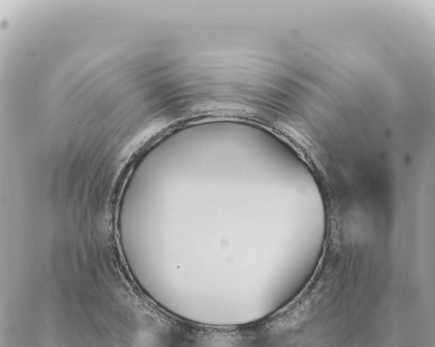 X0000088611074200706011222