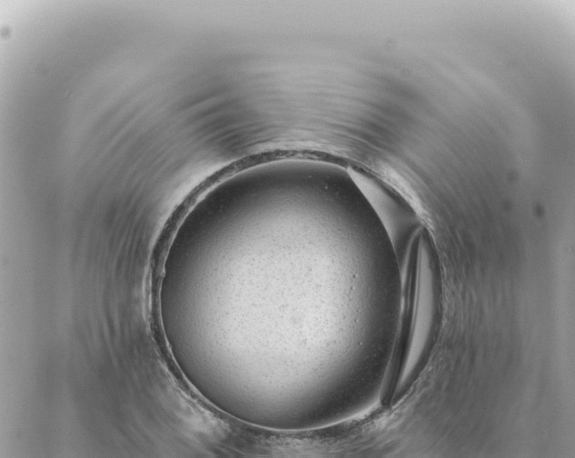 X0000088611076200706011222