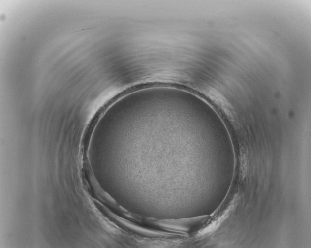 X0000088611077200706011222