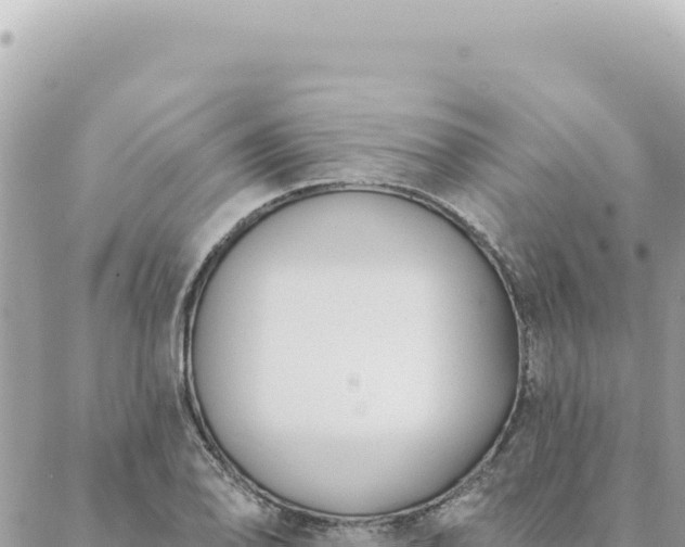 X0000088611078200706011222