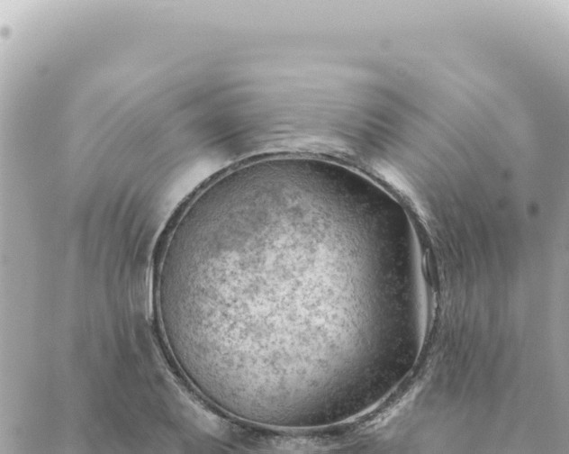 X0000088611079200706011222