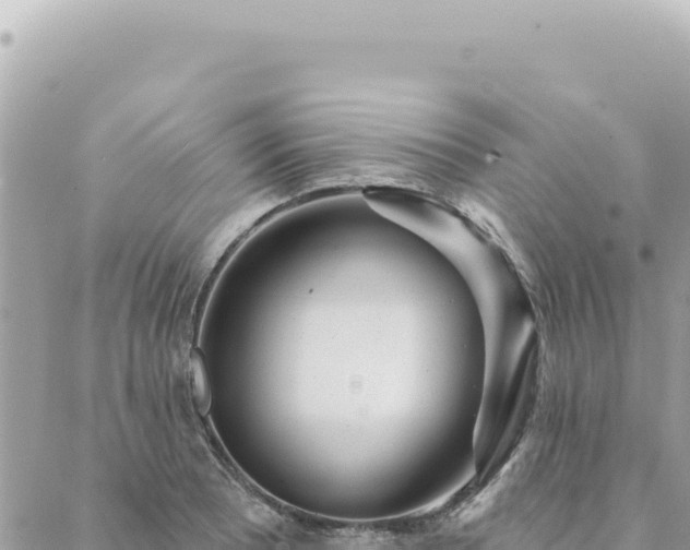 X0000088611081200706011221