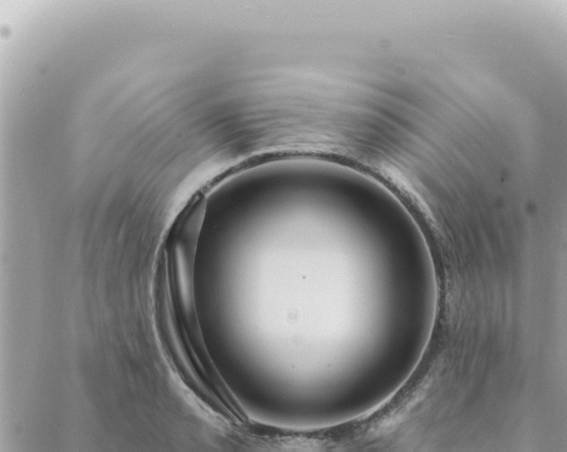 X0000088611085200706011221