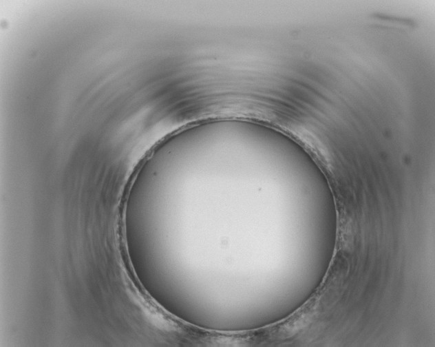 X0000088611086200706011221