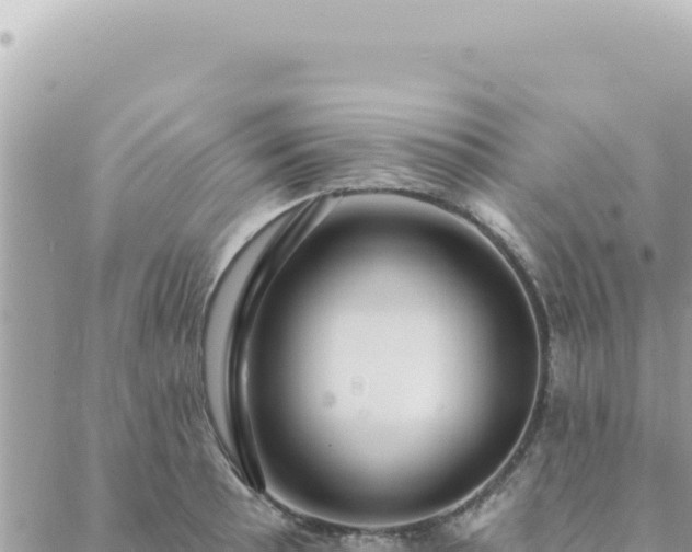 X0000088611089200706011221