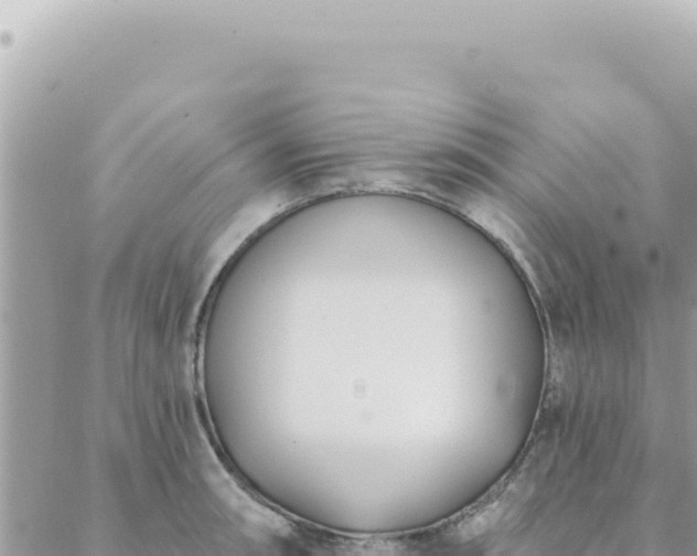 X0000088611090200706011221