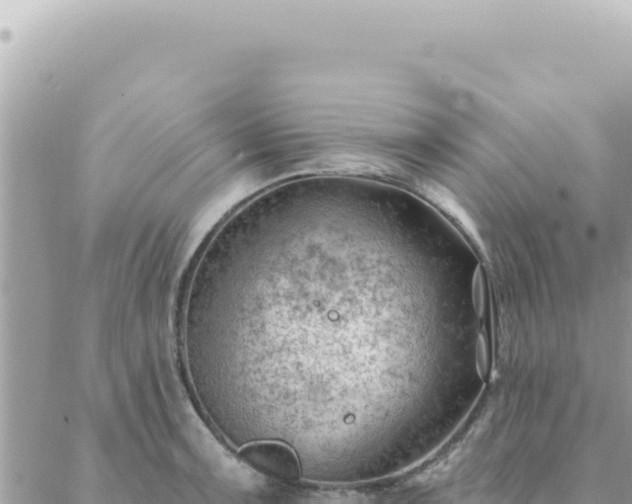 X0000088611091200706011221