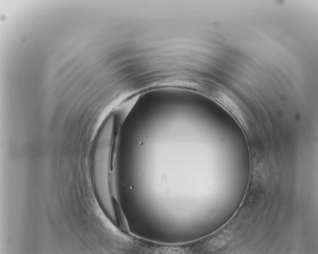 X0000088611092200706011221