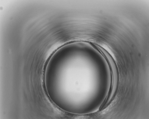 X0000088611093200706011221