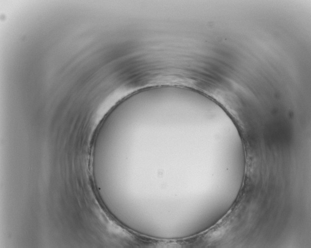 X0000088611094200706011221