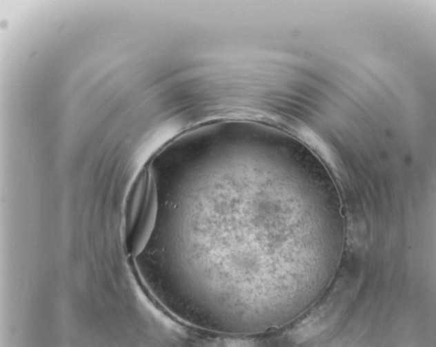 X0000088611095200706011221