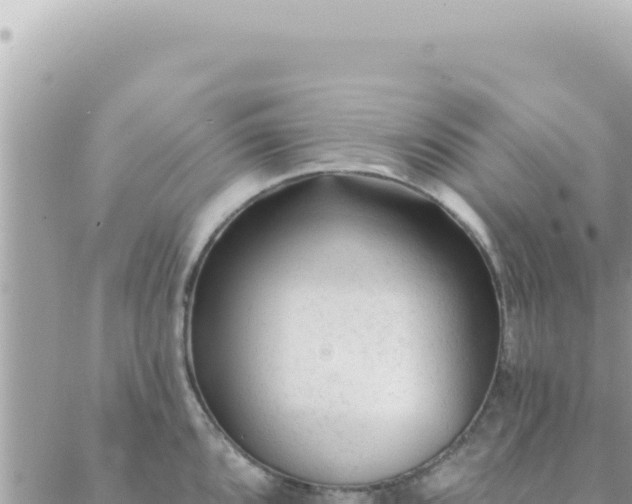 X0000088611096200706011221