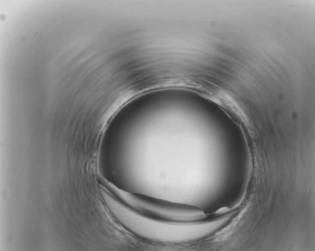 X0000088611097200706011221