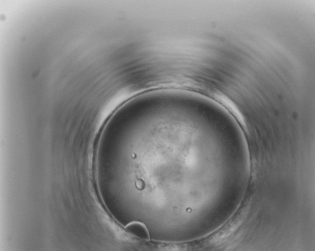 X0000088611099200706011221