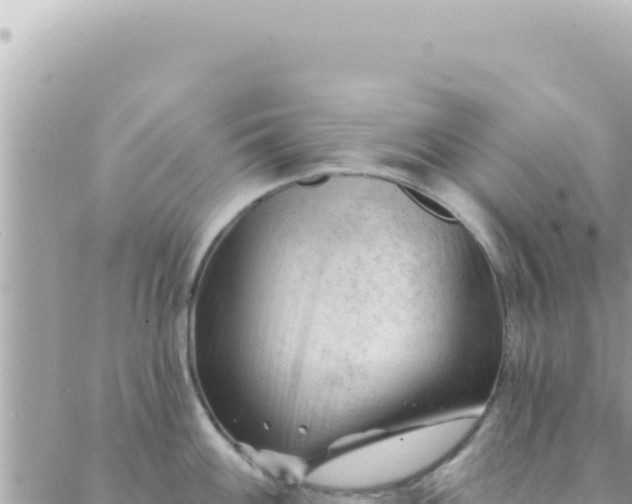 X0000088611100200706011221