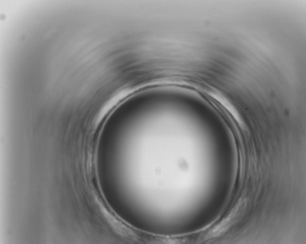 X0000088611101200706011221