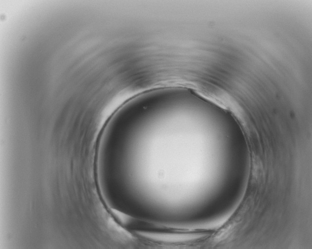 X0000088611102200706011221