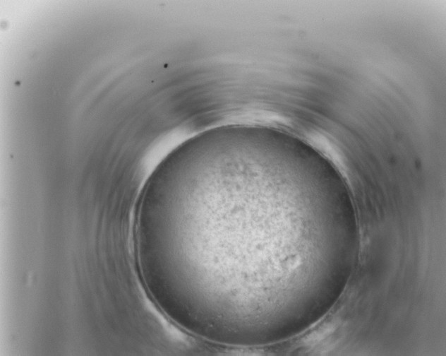 X0000088611103200706011221