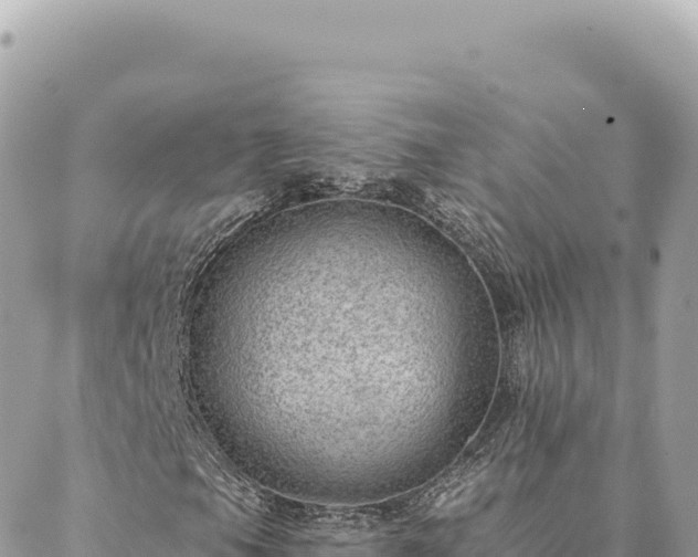 X0000088611105200706011220