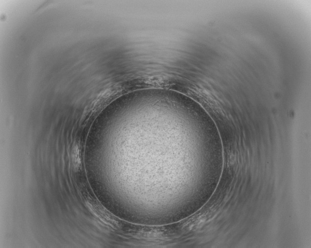 X0000088611106200706011220