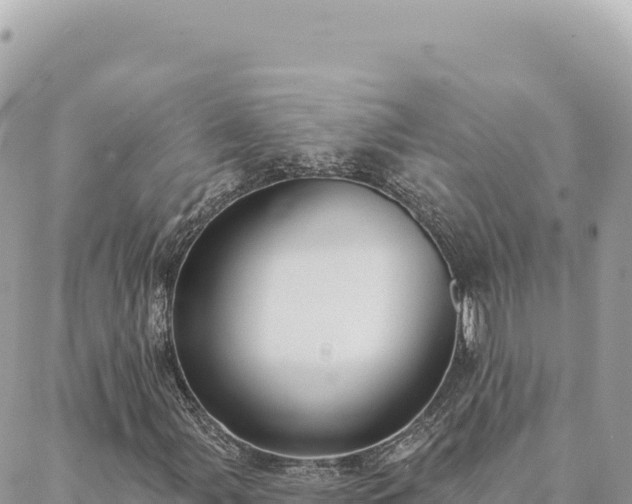 X0000088611107200706011220