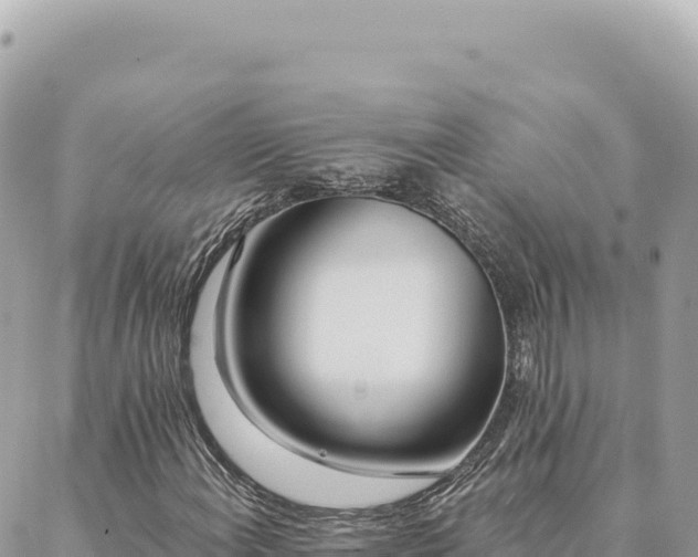 X0000088611108200706011220