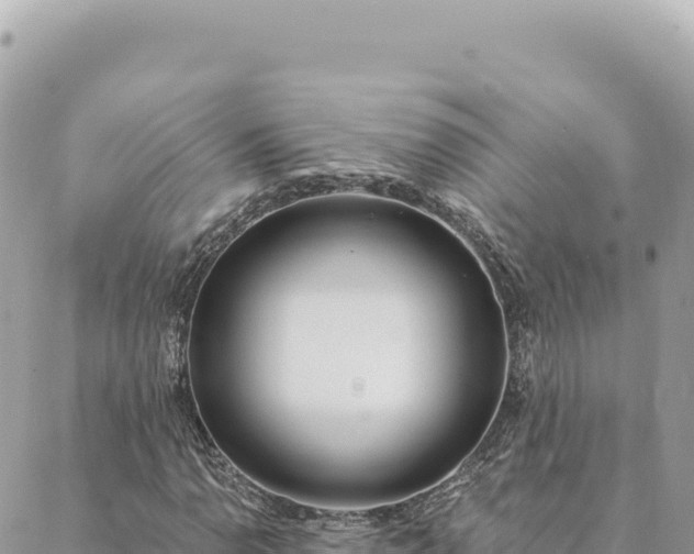 X0000088611110200706011220