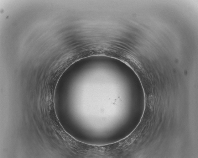 X0000088611111200706011220