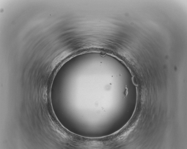 X0000088611113200706011220