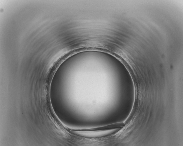 X0000088611115200706011221