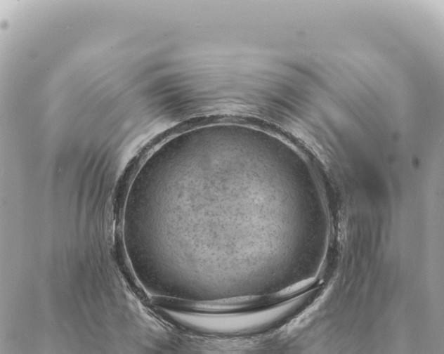 X0000088611117200706011221