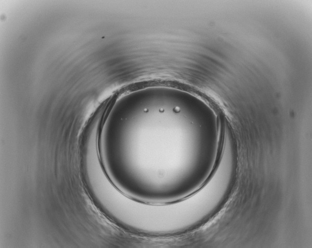 X0000088611118200706011221