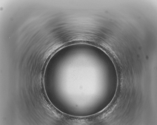 X0000088611121200706011221