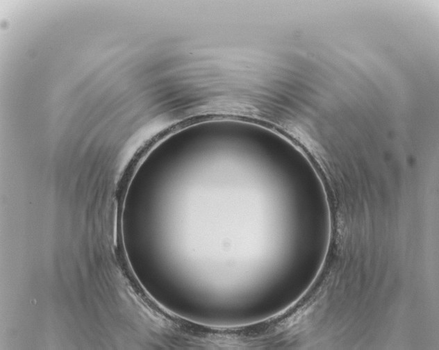 X0000088611123200706011221