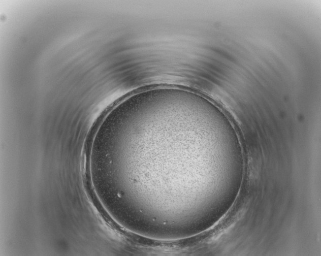 X0000088611125200706011221