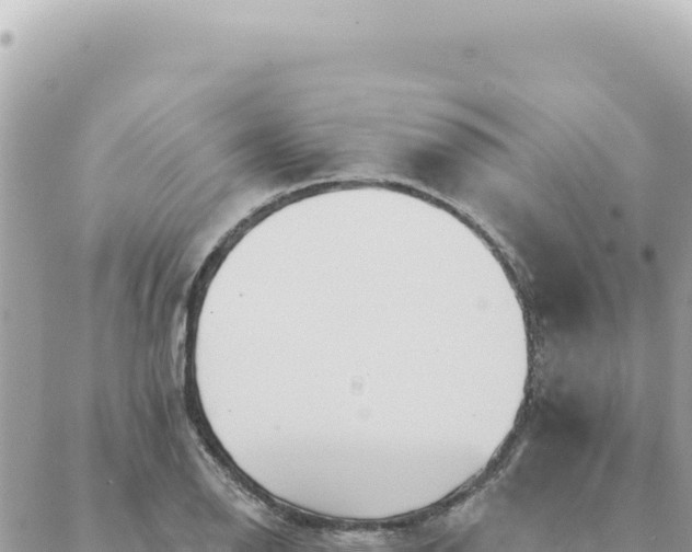 X0000088611126200706011221