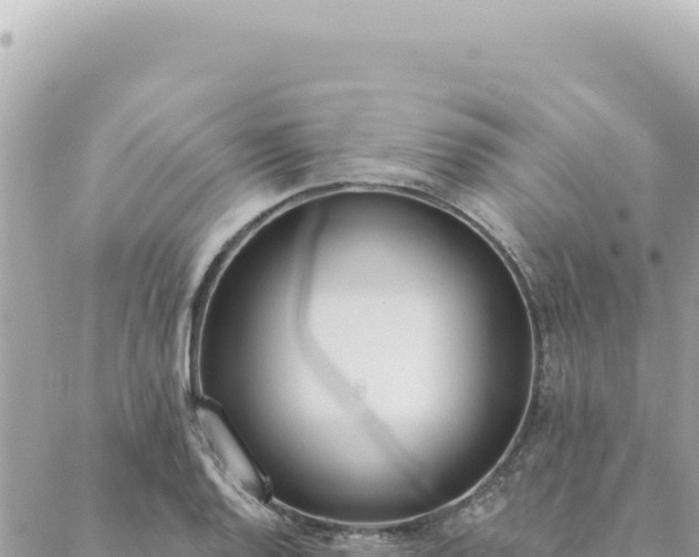 X0000088611128200706011221