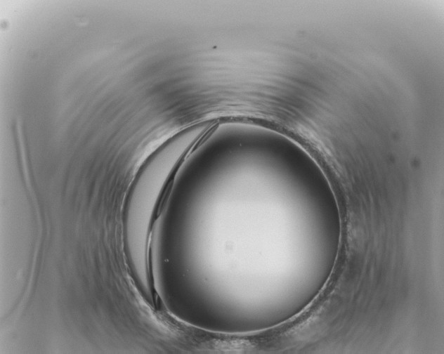 X0000088611129200706011221