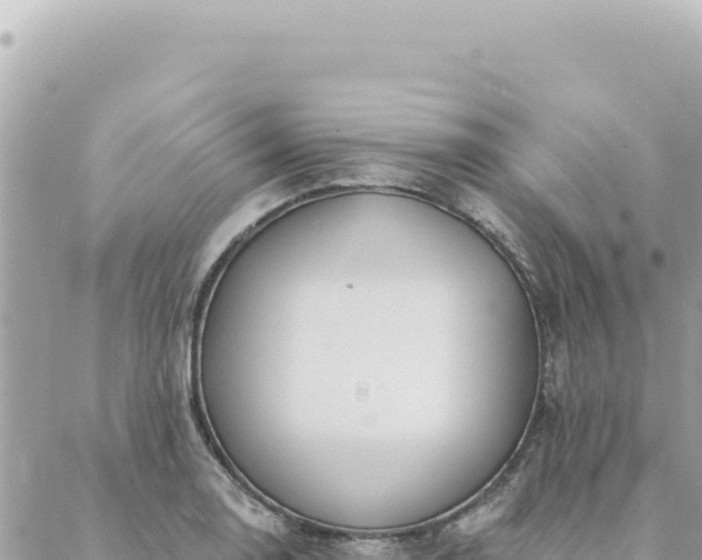 X0000088611130200706011221