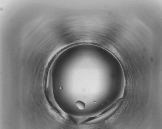 X0000088611132200706011221